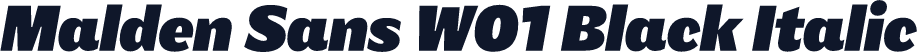 Malden Sans W01 Black Italic