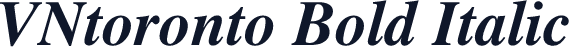 VNtoronto Bold Italic