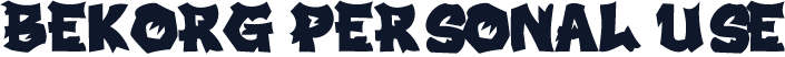 BEKORG PERSONAL USE