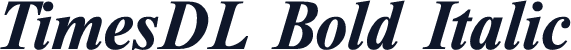 TimesDL Bold Italic