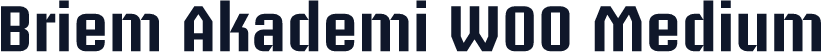Briem Akademi W00 Medium