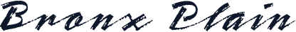Bronx Plain