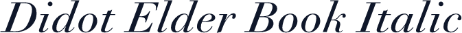 Didot Elder Book Italic