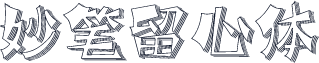 妙笔留心体