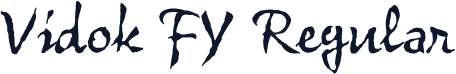 Vidok FY Regular