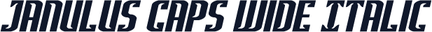 Janulus Caps Wide Italic