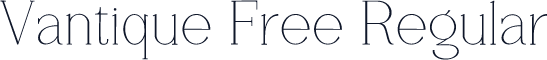 Vantique Free Regular