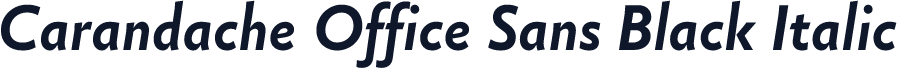 Carandache Office Sans Black Italic