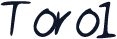 Toro1