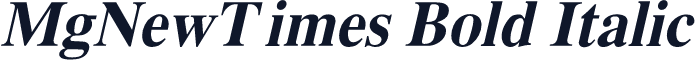 MgNewTimes Bold Italic