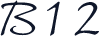 B12