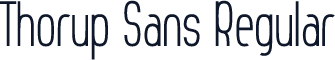 Thorup Sans Regular