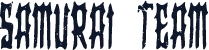 Samurai Team