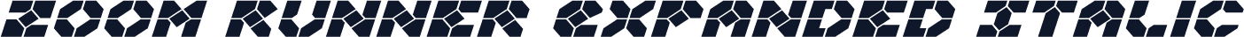 Zoom Runner Expanded Italic