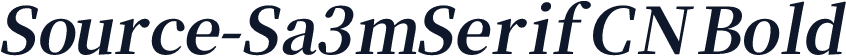 Source-Sa3mSerifCN Bold