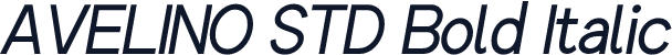 AVELINO STD Bold Italic