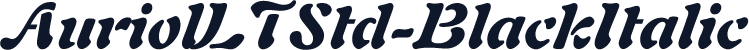 AuriolLTStd-BlackItalic