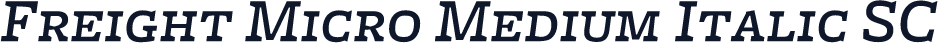 Freight Micro Medium Italic SC