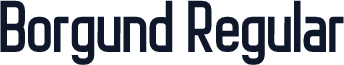 Borgund Regular