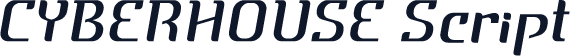 CYBERHOUSE Script