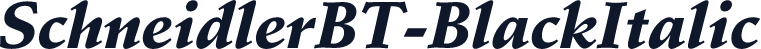 SchneidlerBT-BlackItalic