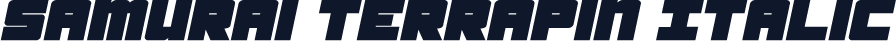 Samurai Terrapin Italic