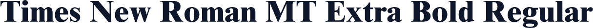Times New Roman MT Extra Bold Regular