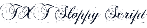 TXT Sloppy Script