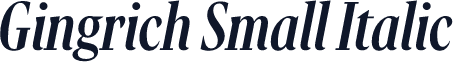 Gingrich Small Italic