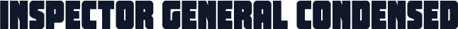 Inspector General Condensed