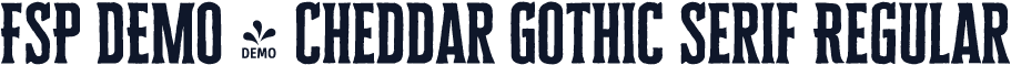 FSP DEMO - Cheddar Gothic Serif Regular