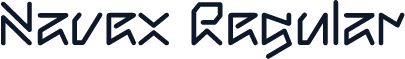 Navex Regular