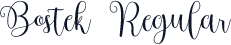 Bostek Regular