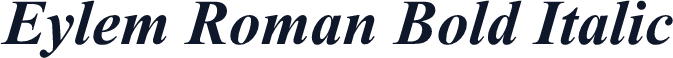 Eylem Roman Bold Italic