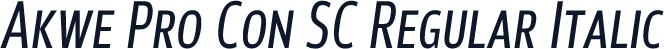 Akwe Pro Con SC Regular Italic