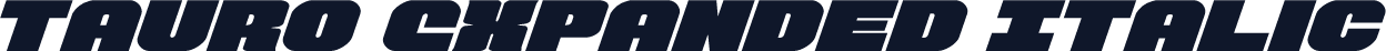 Tauro Expanded Italic