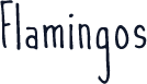 Flamingos