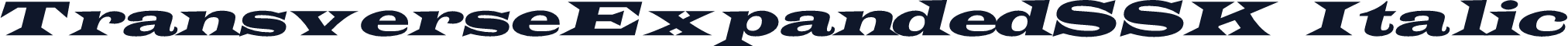 TransverseExpandedSSK Italic