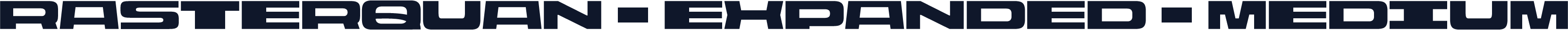 Rasterquan Expanded Medium