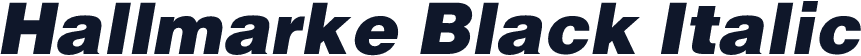 Hallmarke Black Italic