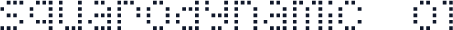Squarodynamic  01