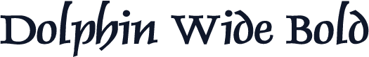 Dolphin Wide Bold