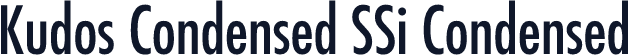 Kudos Condensed SSi Condensed