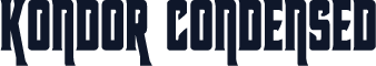 Kondor Condensed