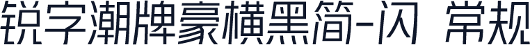 锐字潮牌豪横黑简-闪 常规