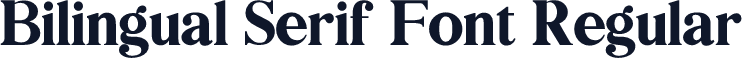Bilingual Serif Font Regular