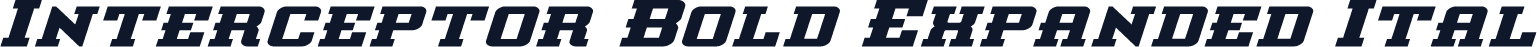 Interceptor Bold Expanded Ital