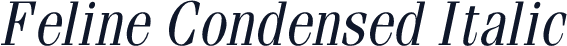 Feline Condensed Italic
