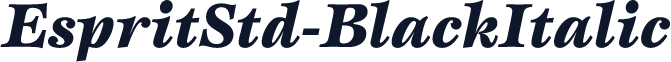 EspritStd-BlackItalic
