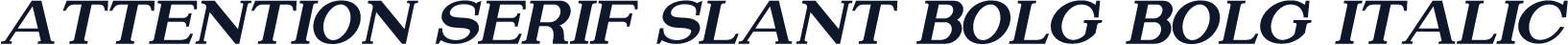 Attention Serif Slant Bold Bold Italic